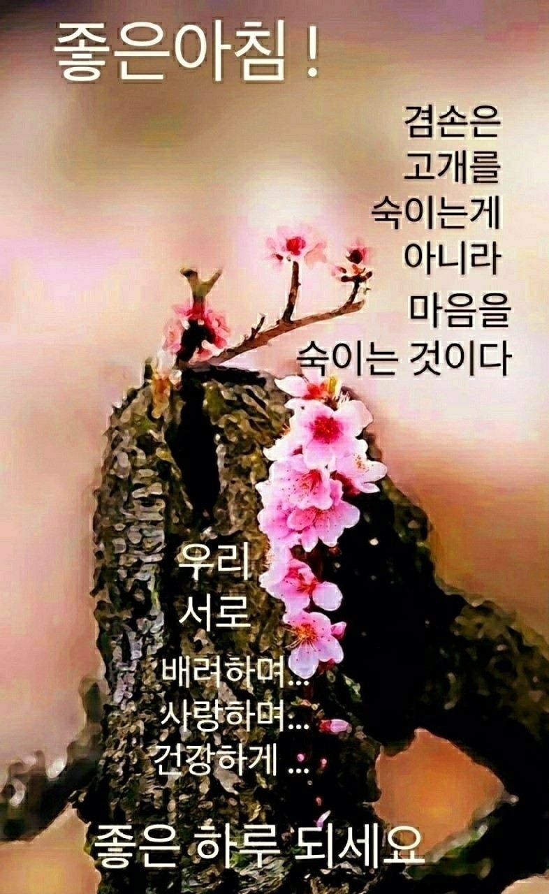  오늘의 좋은글 285번째 성공하고 싶다면 자기만의 루틴을 만들어라 실천해야 합니다