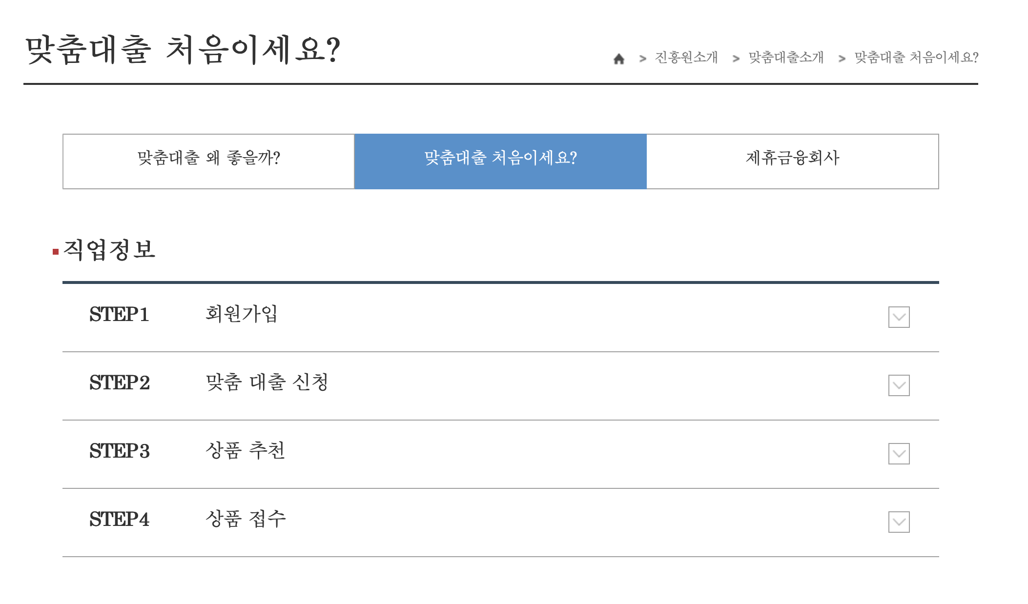 개인사업자 정부지원대출 정보 맞춤