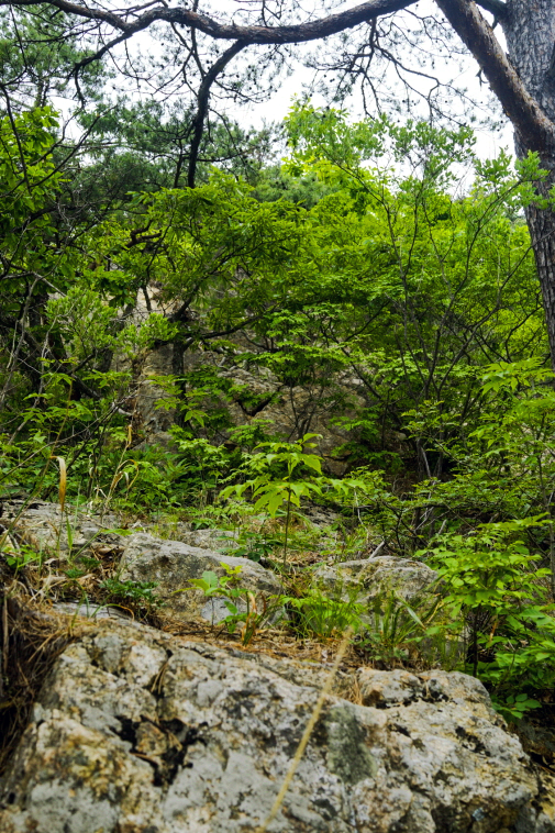 한국 명산 충북 괴산 청화산 등산 mountain hiking