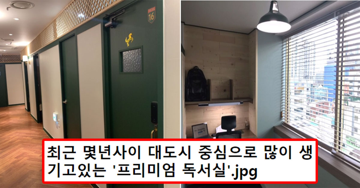  더 업그레이드된 요즘 1인 독서실