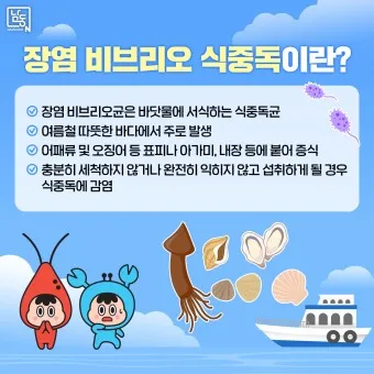 장염 빨리 낫는 법 증상 회복_19