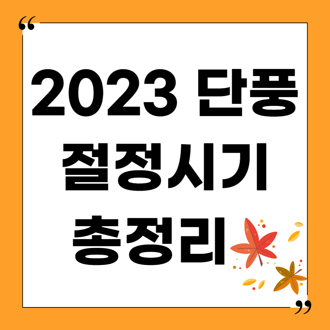 2023-단풍-절정시기