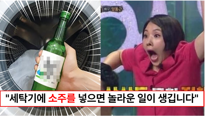 “세탁기에 소주를 넣으면 고민이 사라집니다” 집에서도 쉽게 할 수 있는 세탁기 청소방법