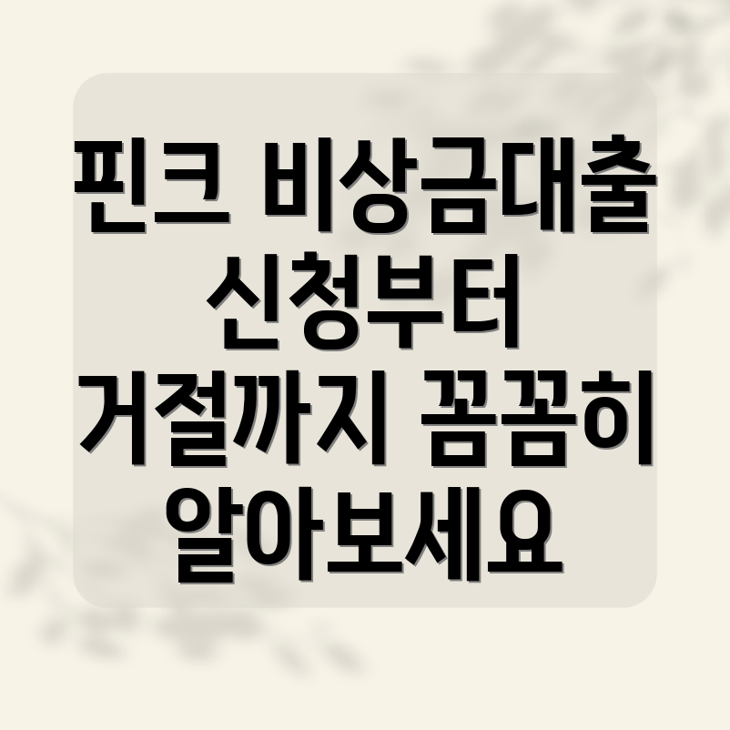 핀크 비상금대출