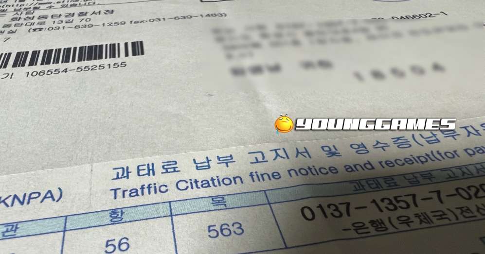 과태료 범칙금 차이 보험 할증