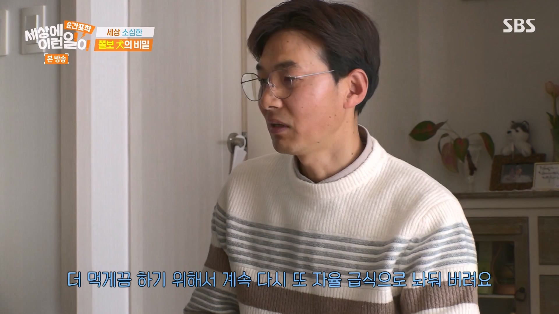 순간포착 세상에 이런일이.E1263.240203p-NEXT.mp4_20240204_164021.616.jpg