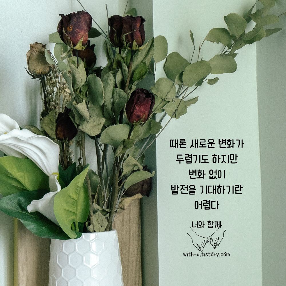  변화 명언 : 짧고 좋은 글귀 : 짧은 명언