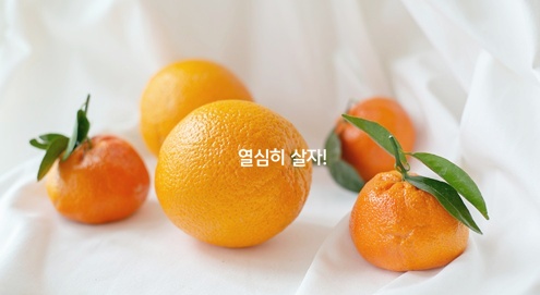 귤 비타민
