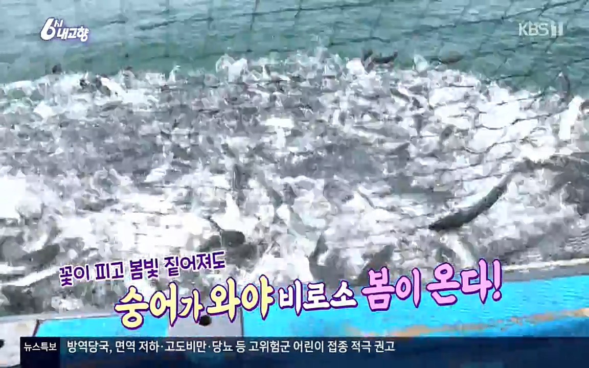 6시 내고향.E7523.220421p-NEXT.mp4_20220507_175005.815.jpg