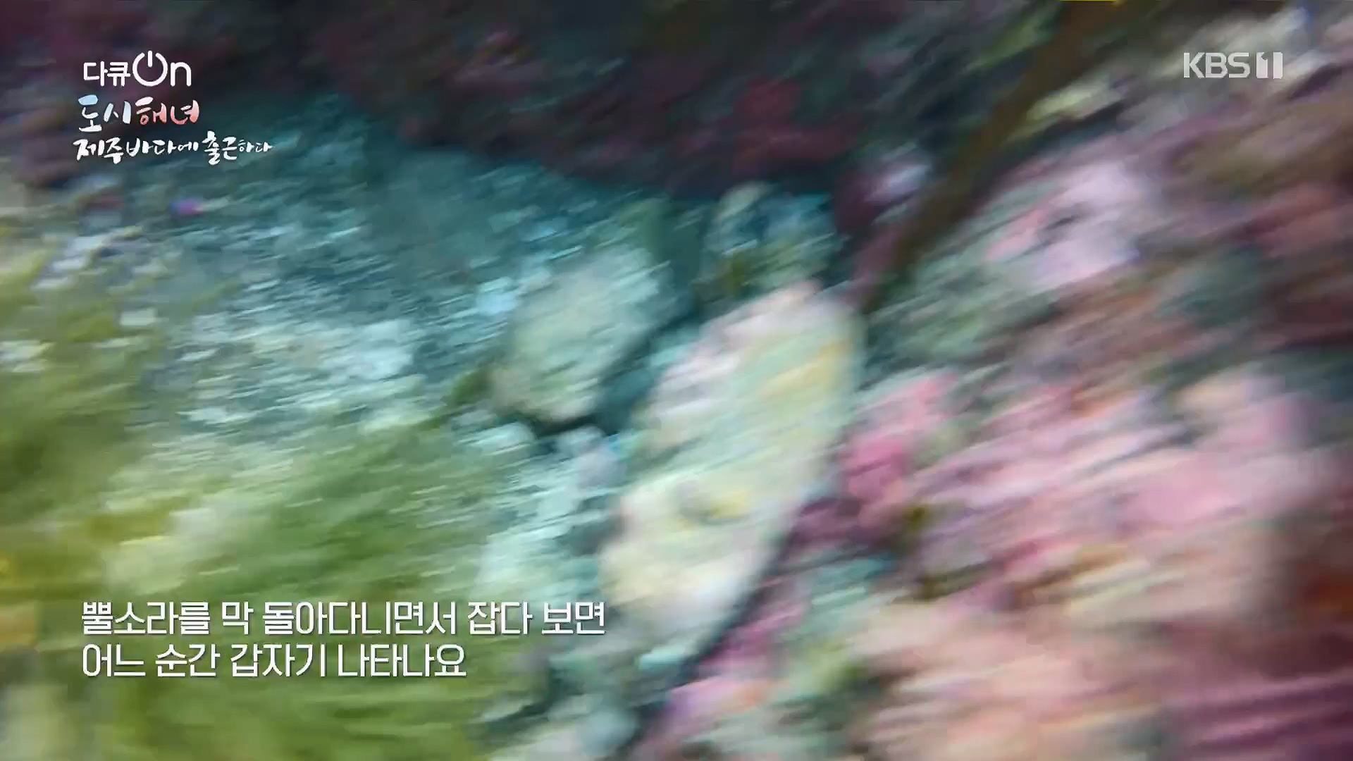 다큐 On.E197.230505p.H264-F1RST.mp4_20230507_133443.619.jpg