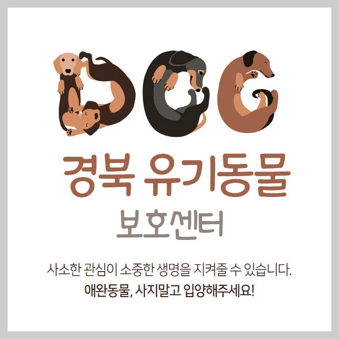 경북-유기동물보호센터-강아지-고양이-유기동물보호소