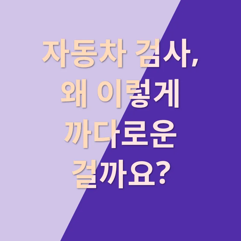 튜닝 검사 대행_2