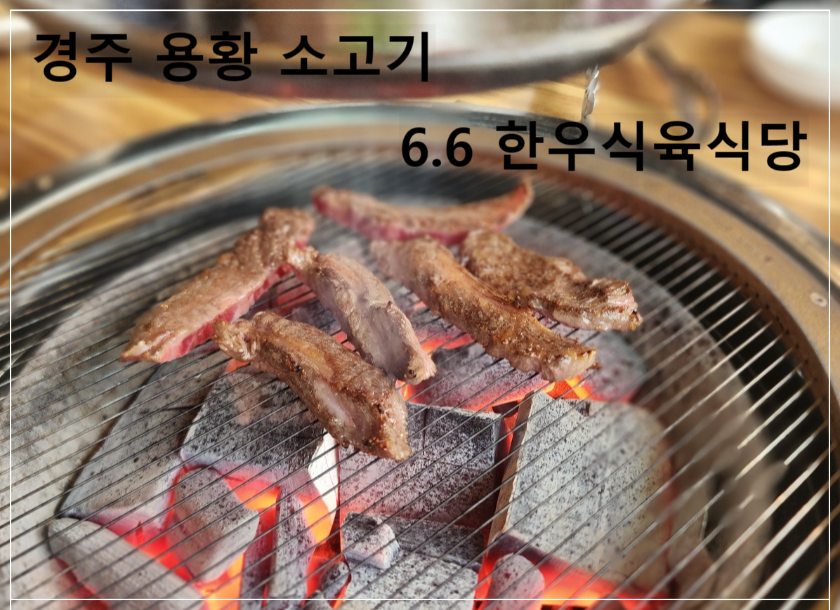 경주-용황-소고기집-6.6-한우식육식당