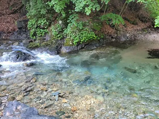 검산별빛캠핑장