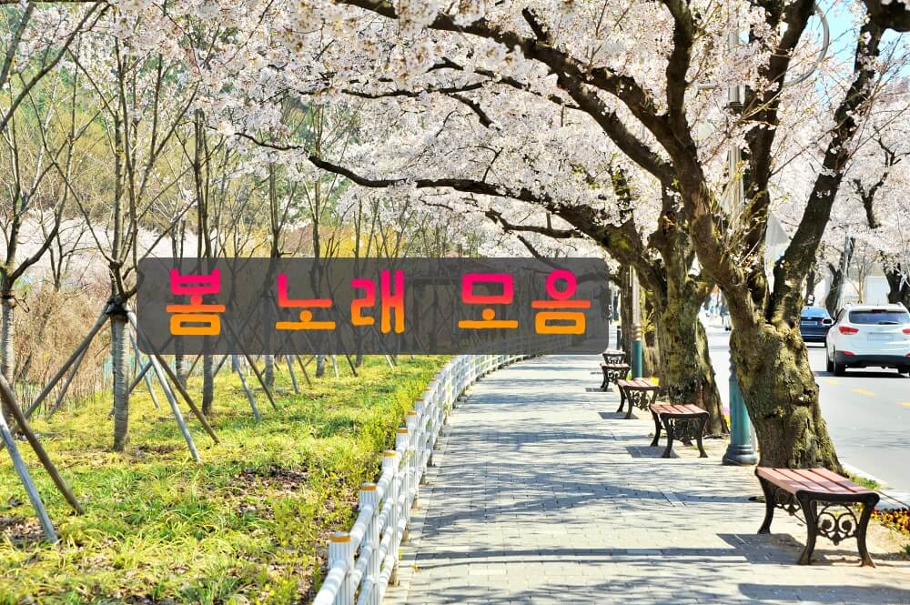  봄 관련 노래 모음