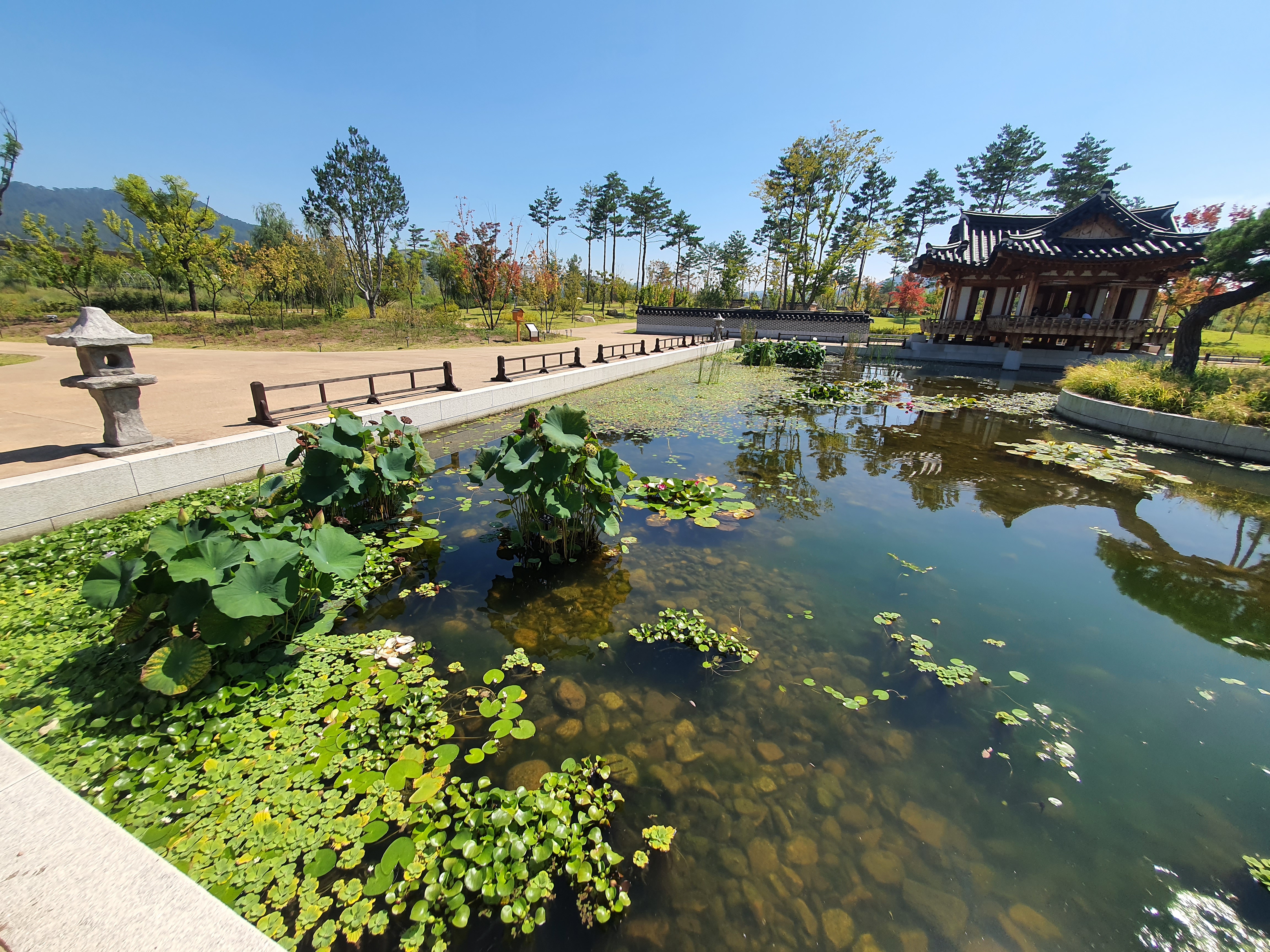 세종 국립세종수목원 한국전통정원 도담정 솔찬루 탐방
