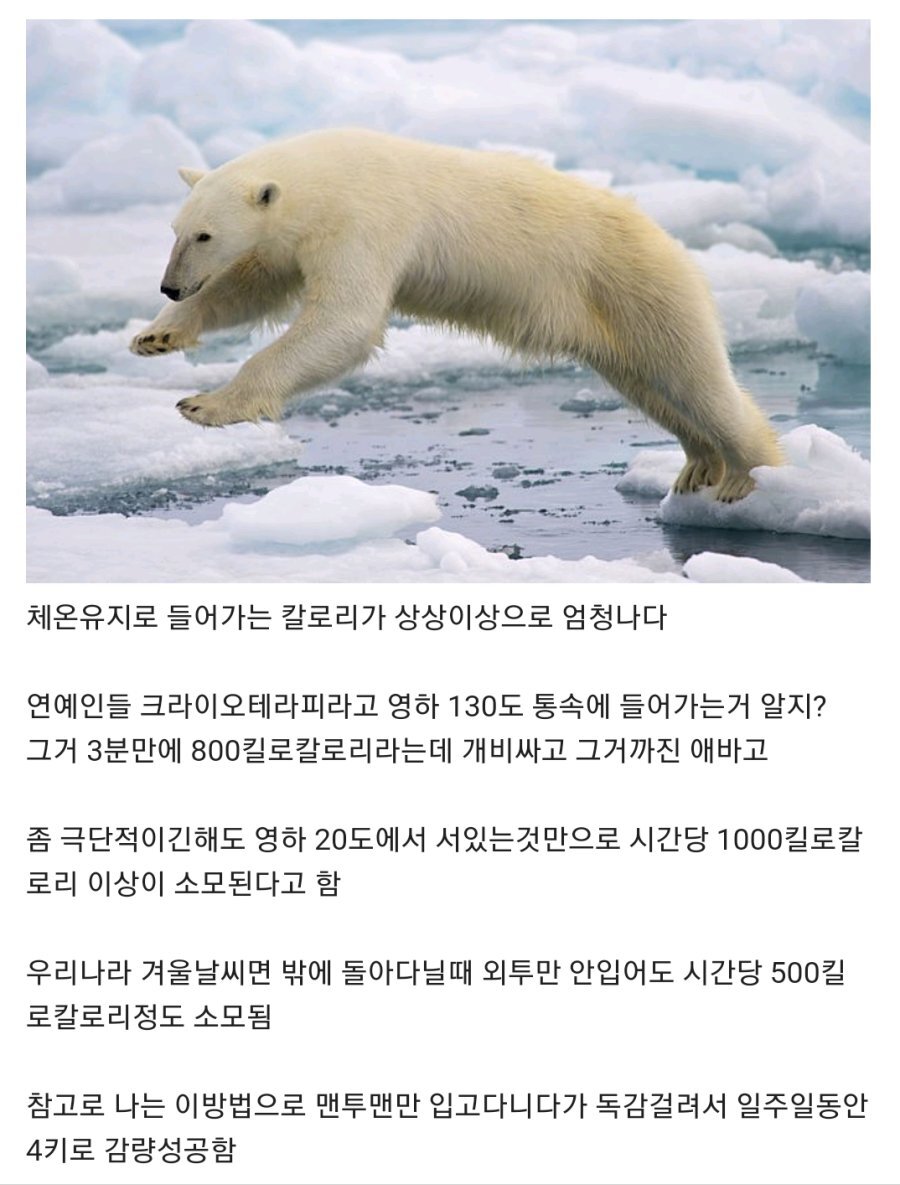  시간당 500칼로리 운동법
