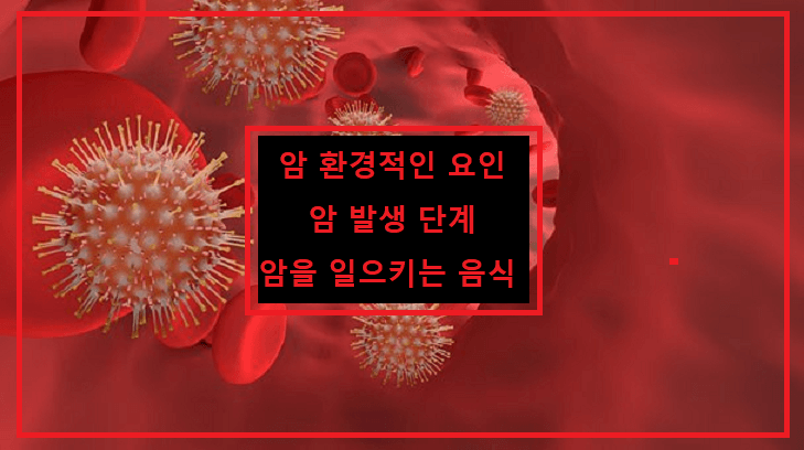  암 환경적 요인. 암 발생단계. 암을 일으키는 음식.