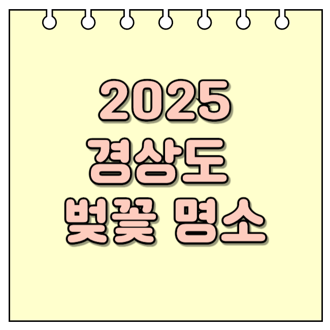 2025 경상도 벚꽃