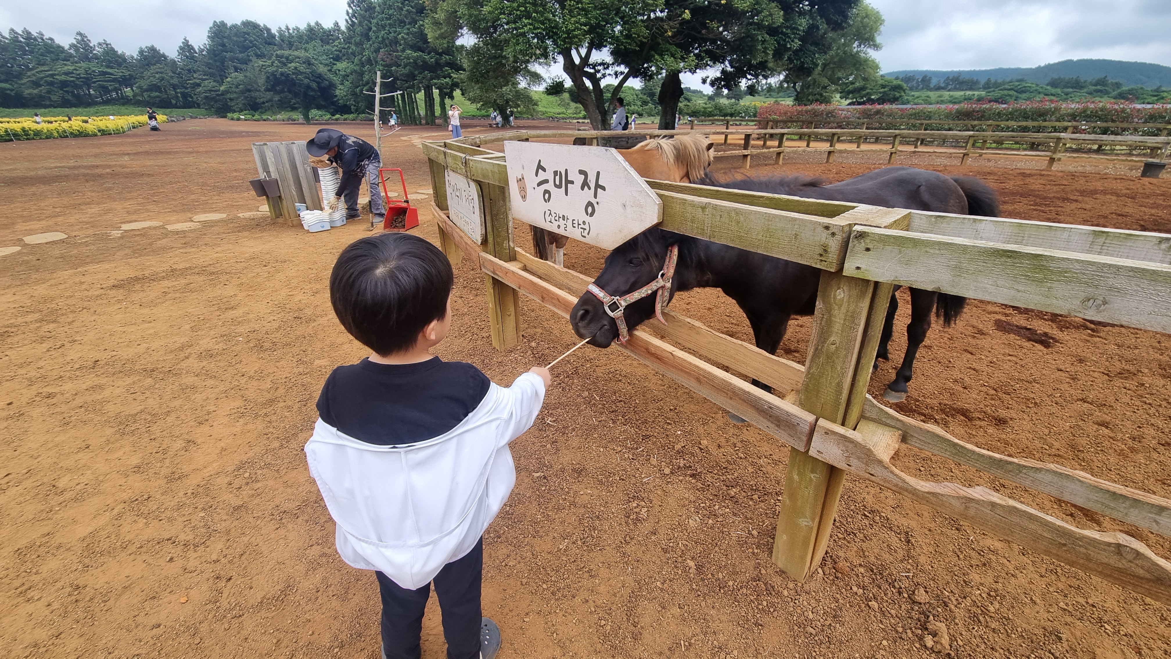 제주 목장카페 밭디