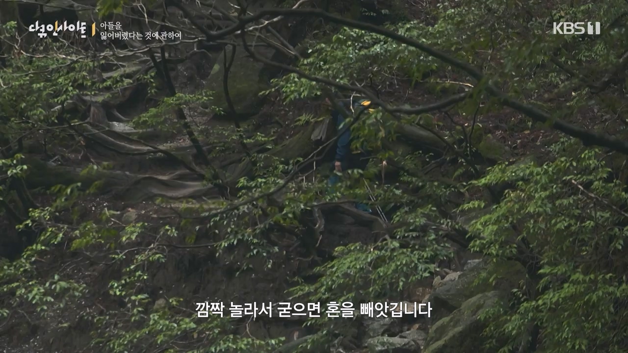 다큐 인사이트.E159.230825p-NEXT.mp4_20230825_204119.555.jpg