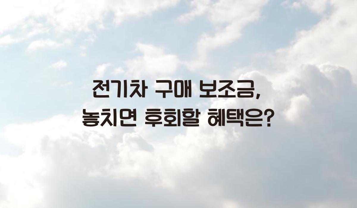 전기차 구매 보조금