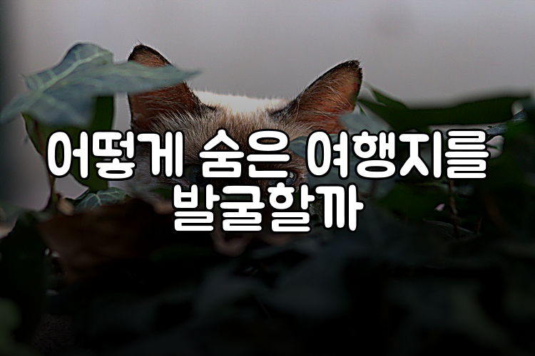 어떻게 숨은 여행지를 발굴할까
