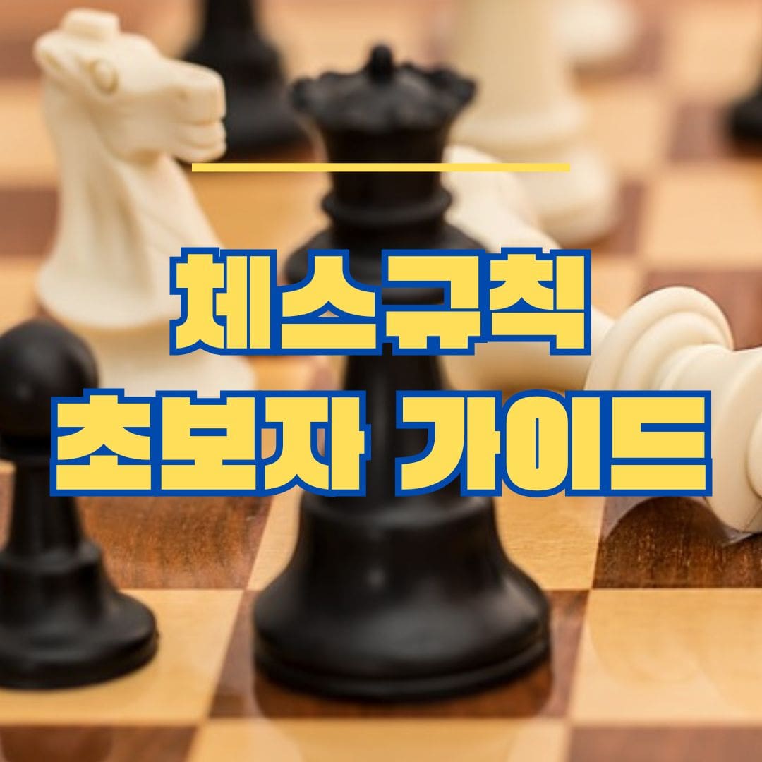 체스 규칙