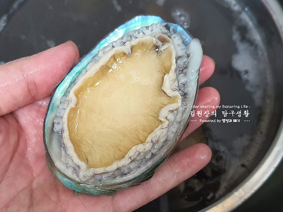 손질 하는법 활전복 보관 방법 전복회 손질 전복 내장