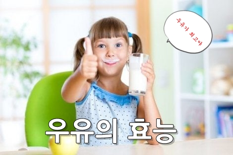  우유의 효능