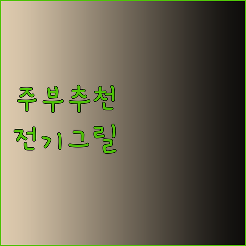 주부 99% 만족! 신일 전기그릴 사