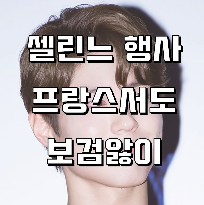  셀린느 행사 참석한 박보검, 이젠 프랑스도 박보검앓이   /   셀린느 행사 스윗 저음 보검앓이 젠틀 꿀성대