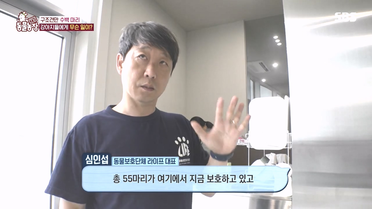 TV 동물농장.E1142.231023p-NEXT.mp4_20231022_171738.871.jpg