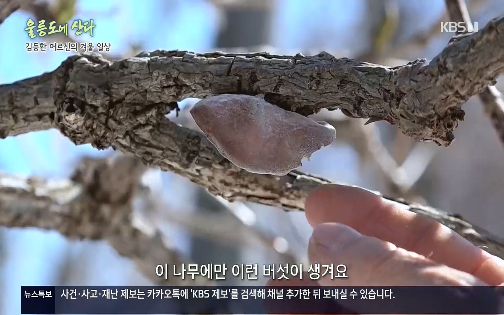 다큐울릉도에산다.E01.220909p.H264-F1RST.mp4_20220912_180348.676.jpg