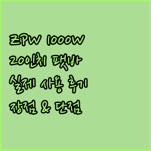 ZPW 1000W 전기 자전거 20인