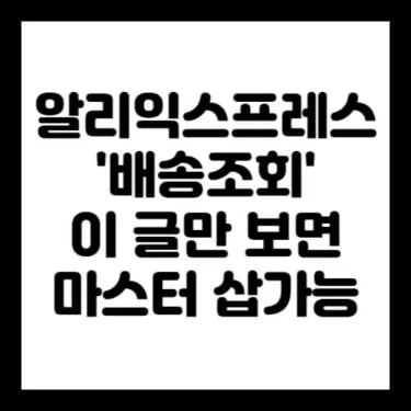 알리익스프레스-배송조회-마스터