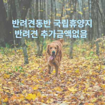  반려동물 입장가능한 산림휴양시설 반려동물과 여행을 함께 떠나세요