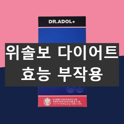 위솔보 다이어트
