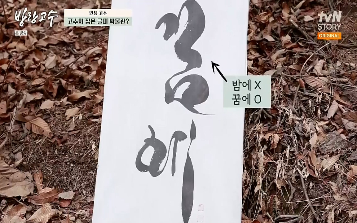 방랑고수.E03.220413p-NEXT.mp4_20220413_183907.719.jpg