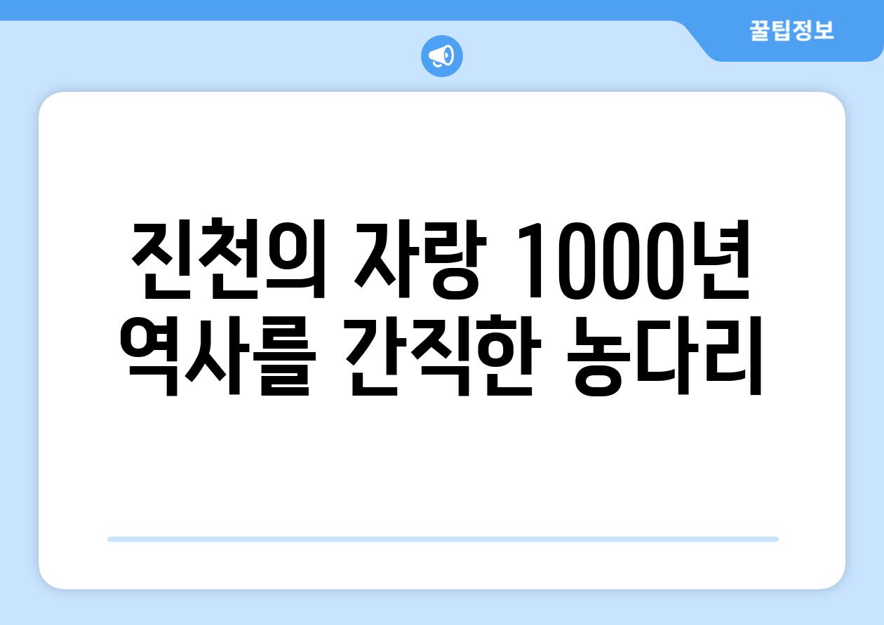 진천의 자랑 1000년 역사를 간직한 농다리