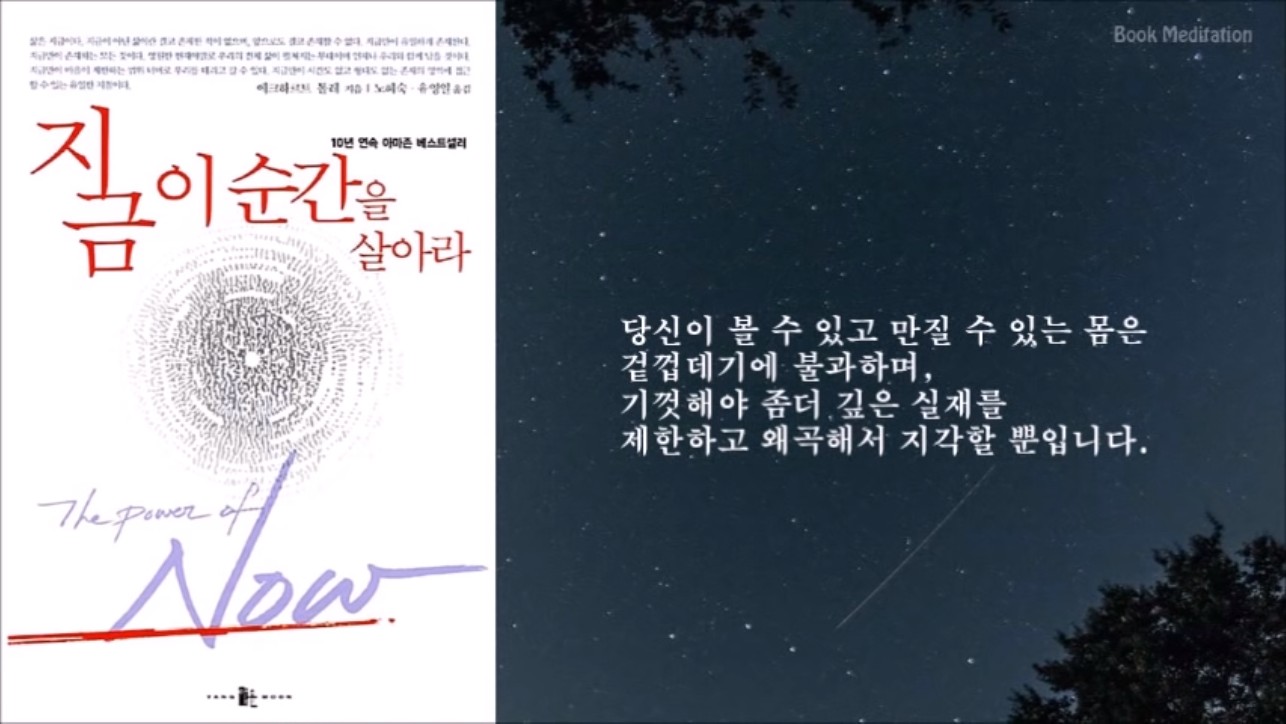  [북 메디] #2 내면의 몸에 집중할수록 의식의 주파수는 높아집니다 [지금 이 순간을 살아라]