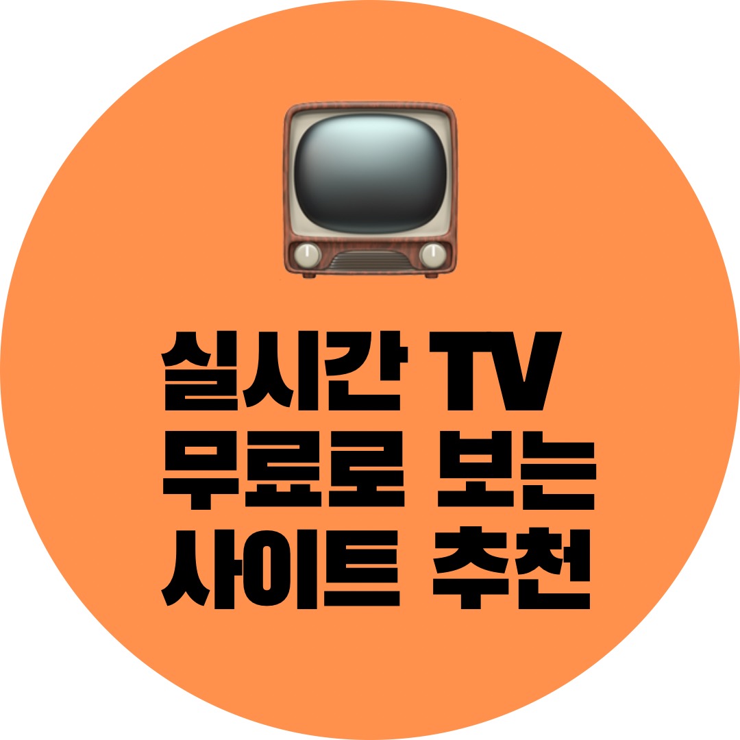  2022 실시간 무료 TV 방송 볼 수 있는 사이트 모음