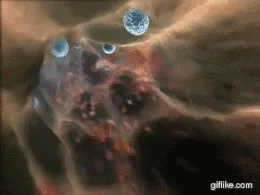 immunity
