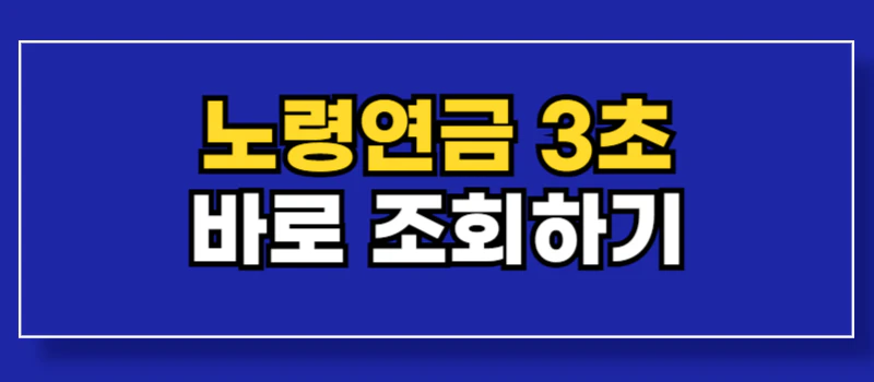 노령연금-재산