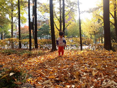 가을단풍과 어린아이
