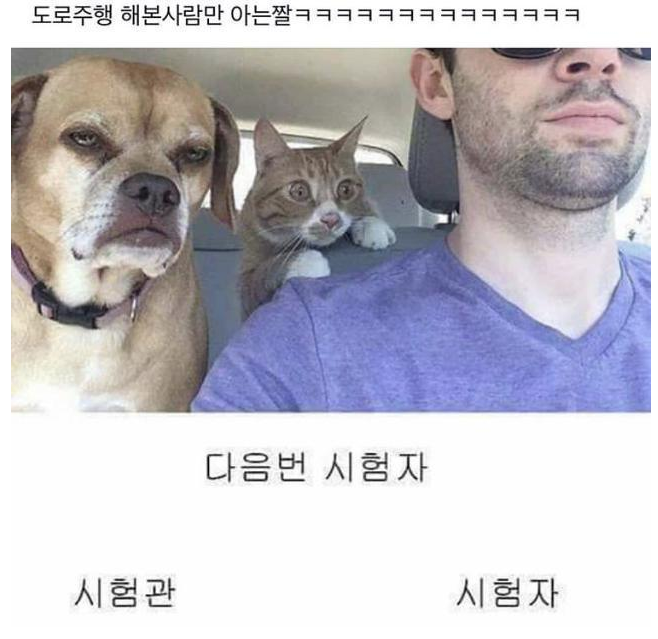  도로주행 해본 사람만 아는 짤
