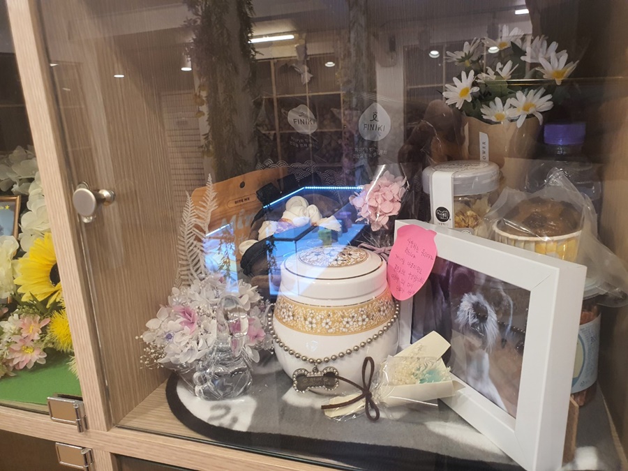 강아지 안락사 방법 강아지안락사 펫마루 9