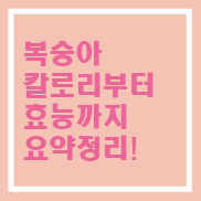  복숭아  칼로리부터 효능까지 깔끔하게 총정리!