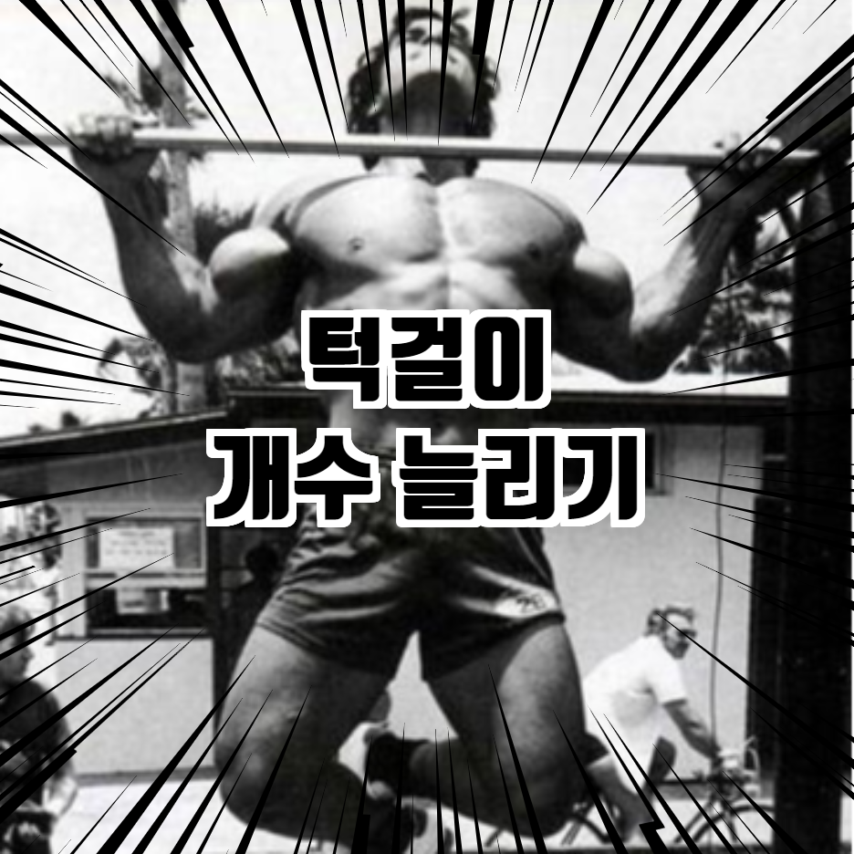  미해병대 턱걸이 루틴