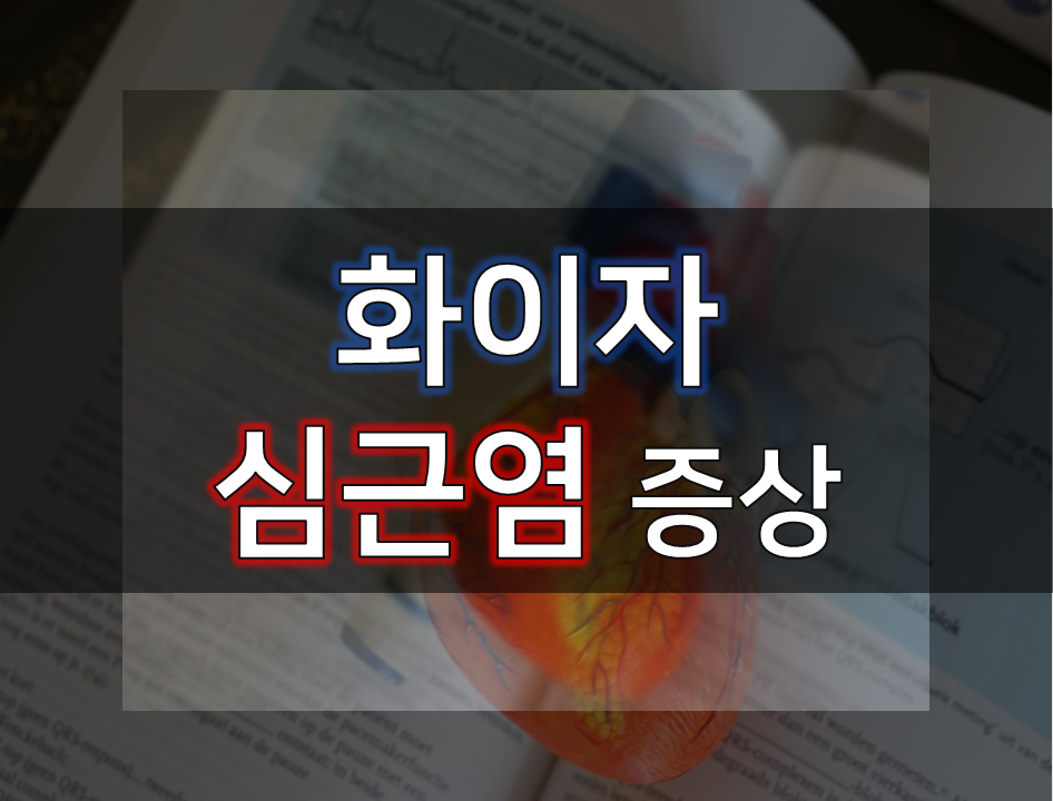  화이자 심근염 증상